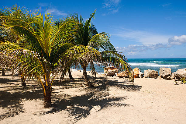 istockphoto184914960612x612 Destinations Desire
