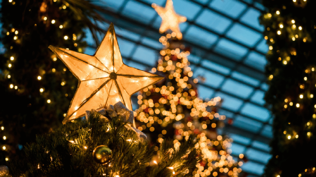 Kerala Christmas midnight carols and church decorations