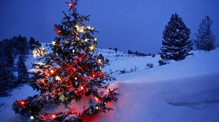 Snowfall in Manali during Christmas celebration