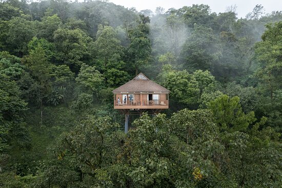 thetamaracoorg Destinations Desire