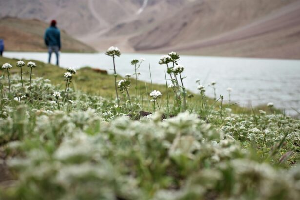 Spiti Valley in July 2025