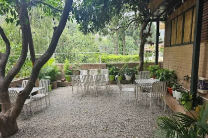 best-cafes-in-rishikesh