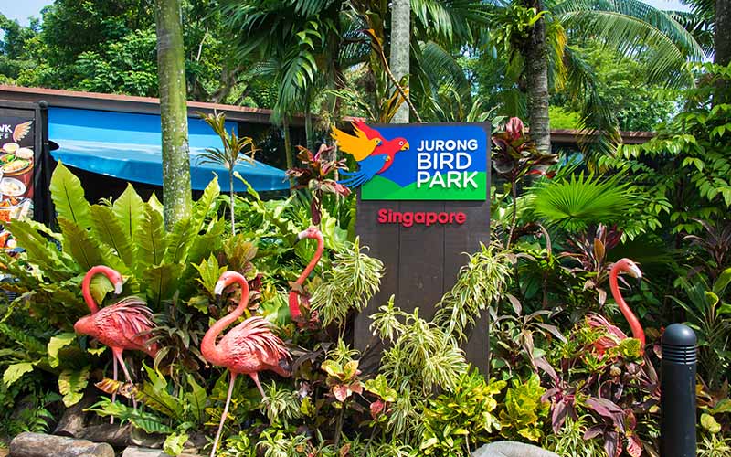 Jurong Bird Park In Singapore