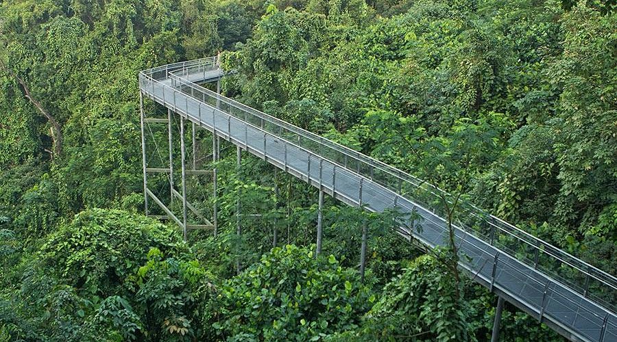 Walk At Southern Ridges