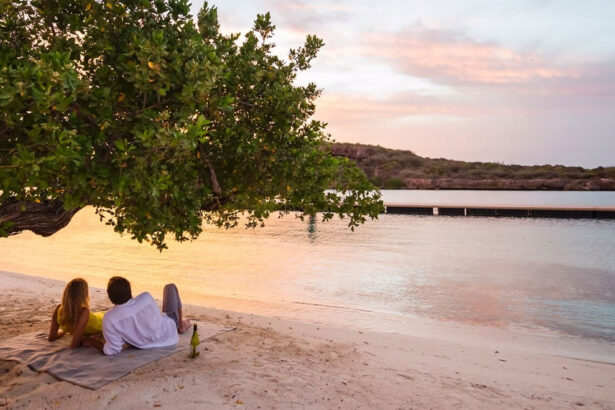 Best Beach Destinations In India