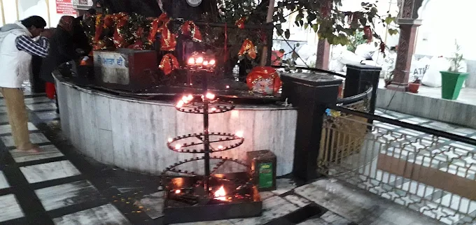 Best Celebrated Festival Resort Near Me