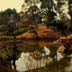Top Hill Stations in India for Winter 2025