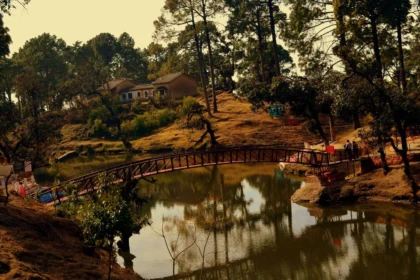 Top Hill Stations in India for Winter 2025