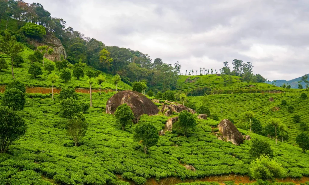 Top Hill Stations in India