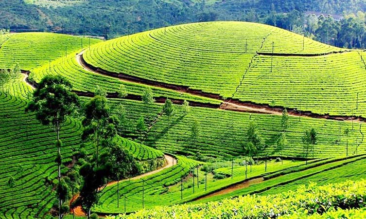 Destinations Desire Top Hill Stations in India for Winter 2025