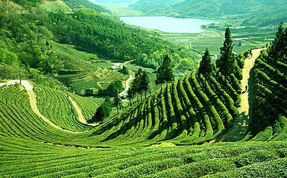 Top Hill Stations in India