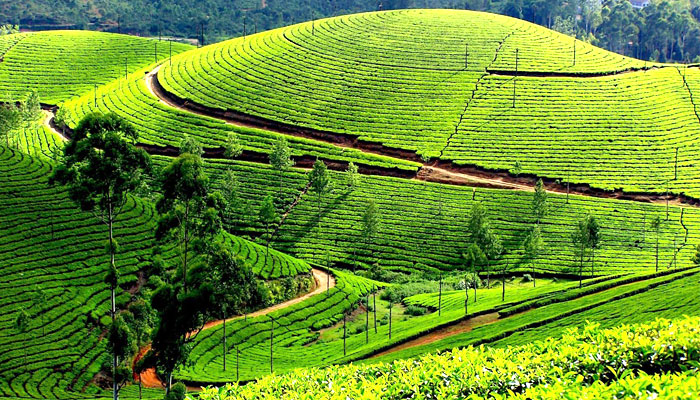 Top Hill Stations in India