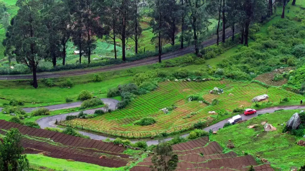 Destinations Desire Ooty lake and Nilgiri hills during winter Tamil Nadu