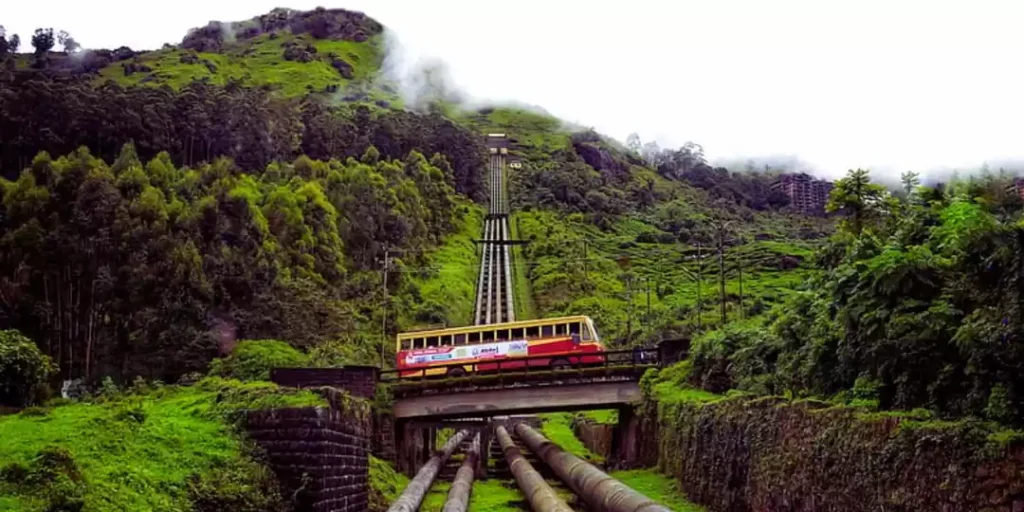 Destinations Desire Munnar tea gardens covered in winter mist Kerala