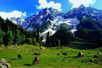 Lush green Pahalgam valley in Kashmir summer