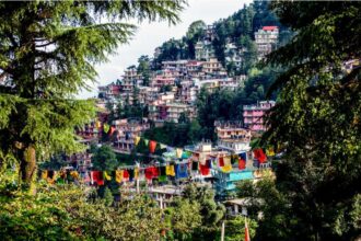 Rishikesh travel guide