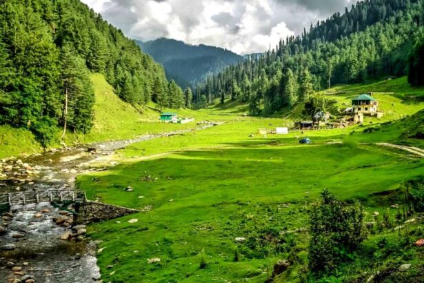 Devotees trekking to Vaishno Devi Bhawan Katra