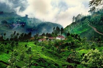 Coorg coffee plantations and green hills in winter Karnataka