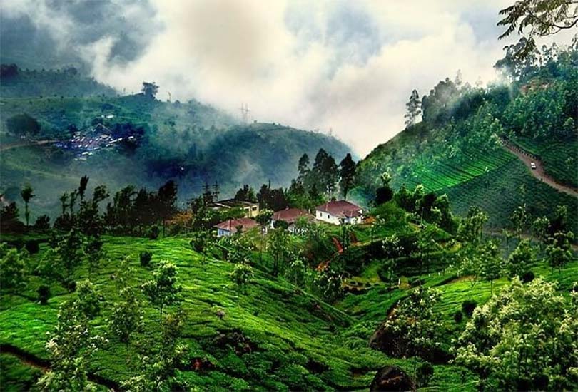 Destinations Desire Coorg coffee plantations and green hills in winter Karnataka