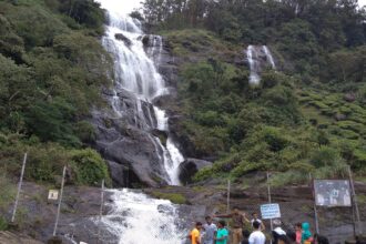 Munnar tea plantations winter family trip