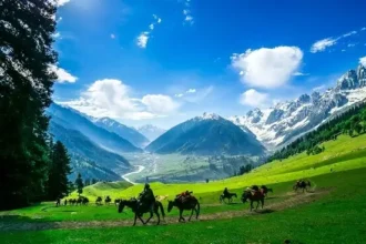 Couple enjoying Kashmir honeymoon