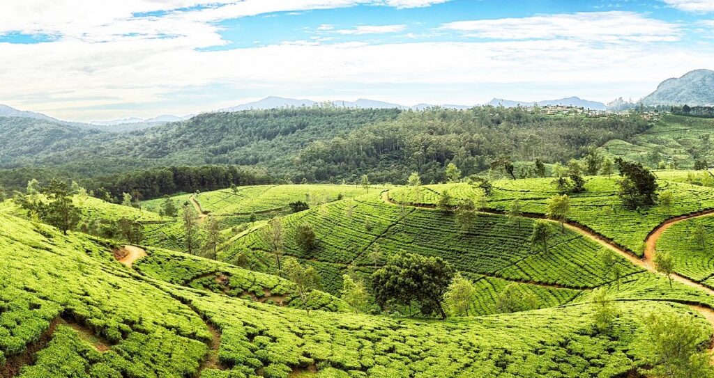 Destinations Desire Low cost international holiday destinations in December 2025