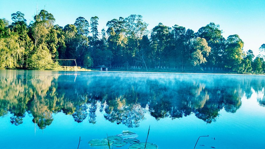 Destinations Desire Kodaikanal lake and pine forest during winter Tamil Nadu