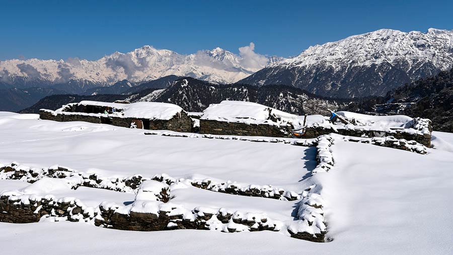 Chopta Uttarakhand Destinations Desire