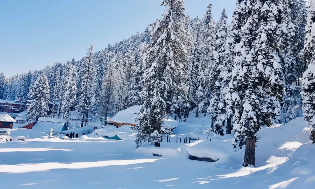 Gulmarg Jammu Kashmir Destinations Desire