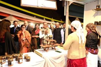 Food Stalls at Saras Festival