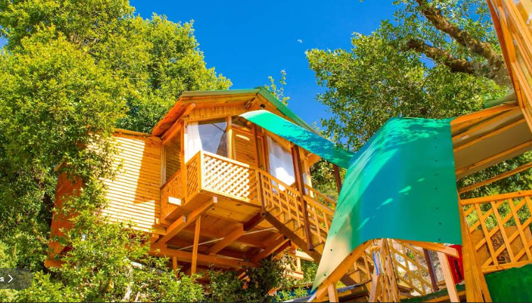 Manali Treehouse and Cafe unique mountain stay