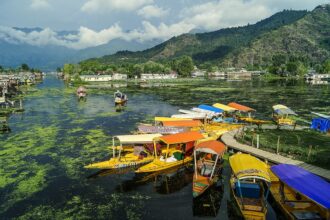 shikara ride on dal lake in december