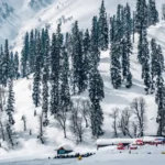 snowy pine forests in kashmir winter season