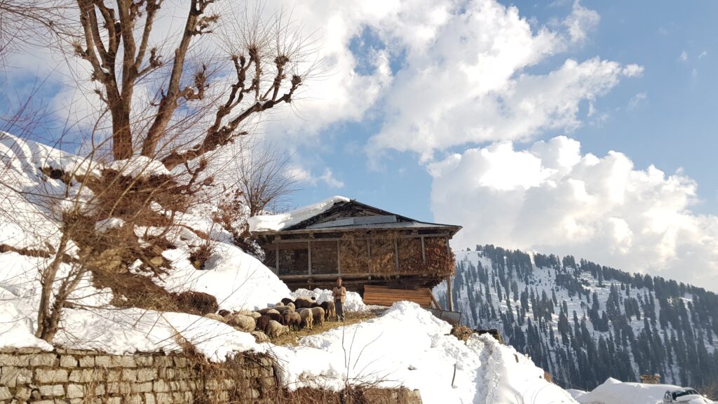 Traditional Himachali houses in Goshal Village