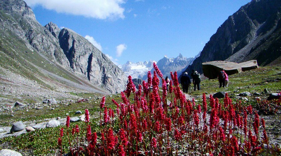 Goshal Village apple orchards near Old Manali