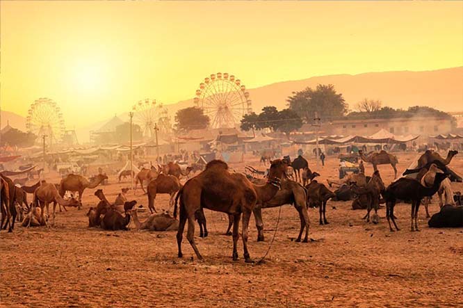 Pushkar Spiritual Romantic Destinations Desire