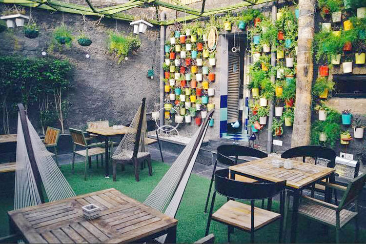 Potbelly Rooftop Cafe Bihari cuisine Shahpur Jat