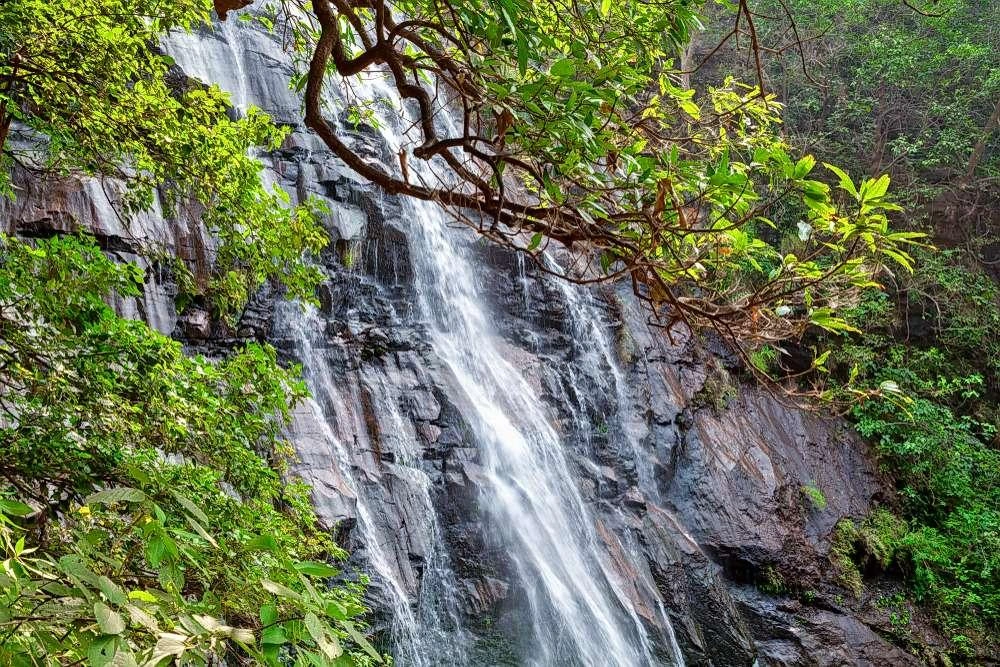 Madhya Pradesh Trip Destinations Desire Madhya Pradesh Trip