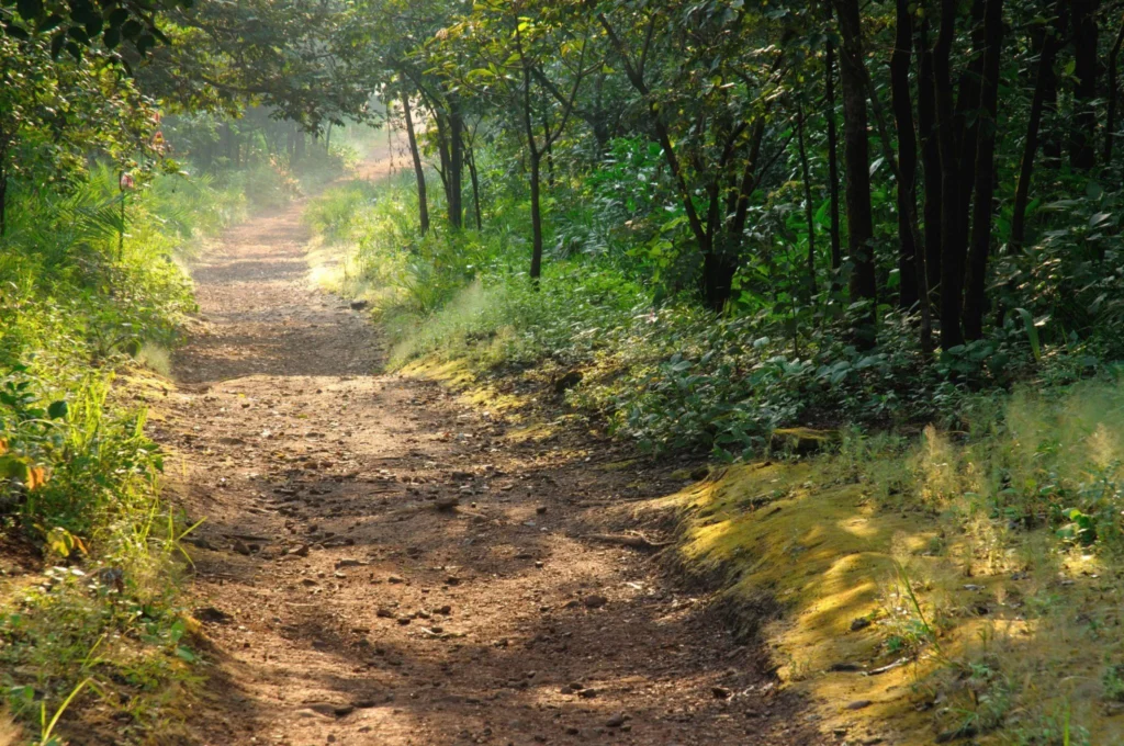 Madhya Pradesh Trip Destinations Desire Madhya Pradesh Trip