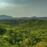 Madhya Pradesh Trip