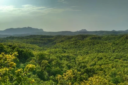 Madhya Pradesh Trip