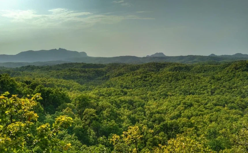 Madhya Pradesh Trip