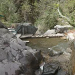Best Waterfalls To Visit Near Chandigarh This Summer