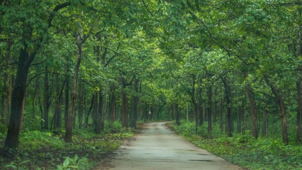 Best Road Trips in India During Monsoon