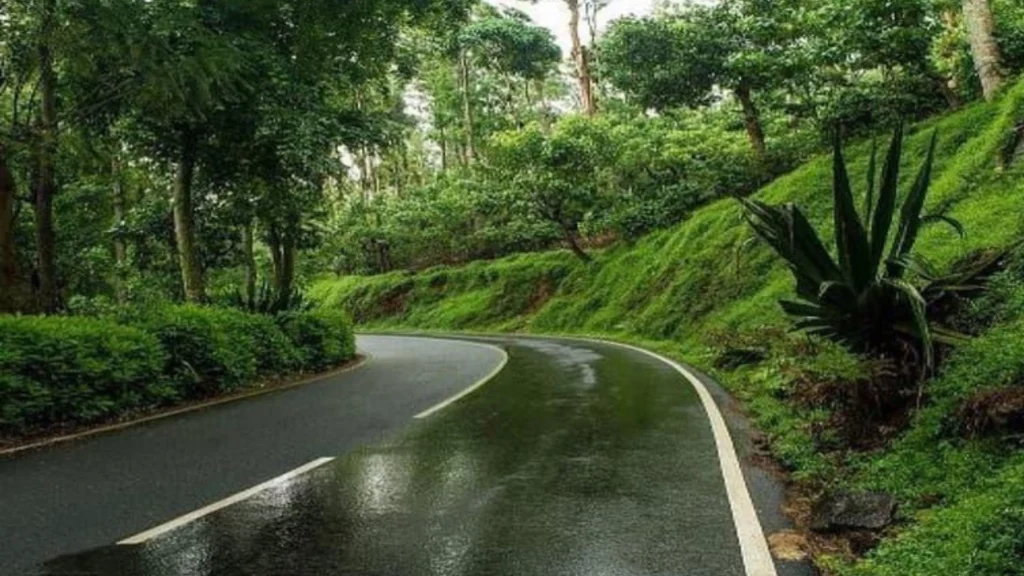Best Road Trips in India During Monsoon