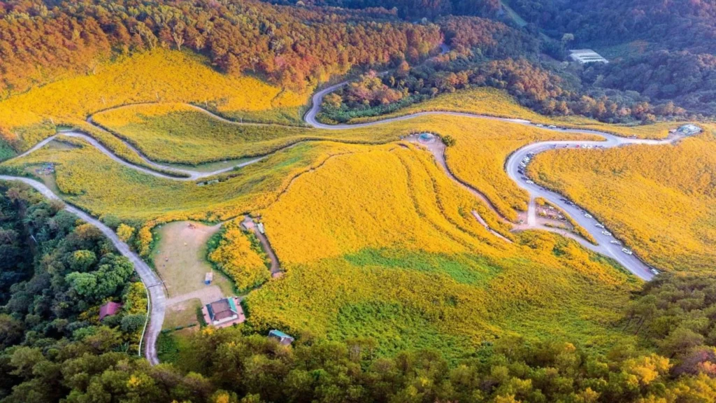Valley of Flowers Trek