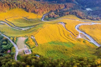 Valley of Flowers Trek