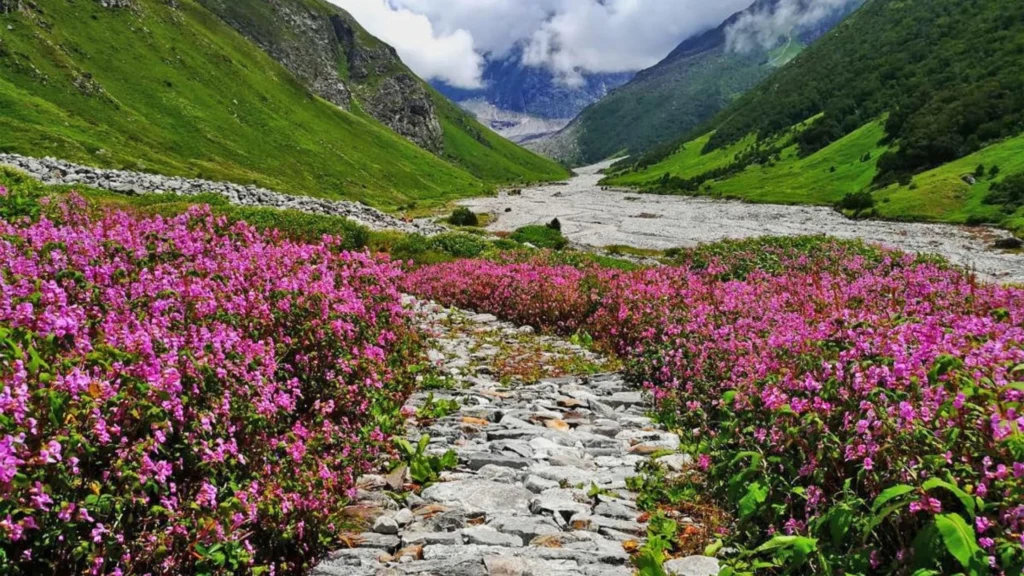 Valley of Flowers Trek