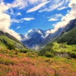 Valley of Flowers Trek