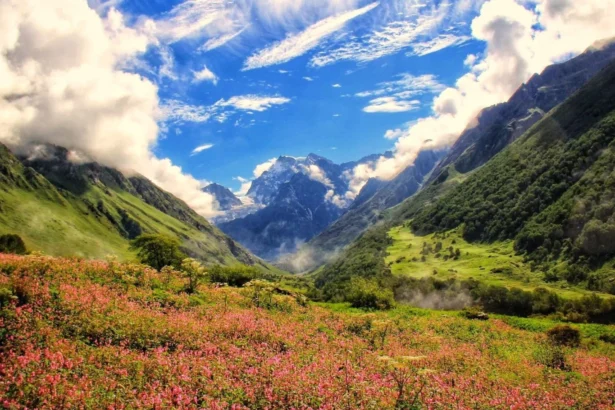 Valley of Flowers Trek